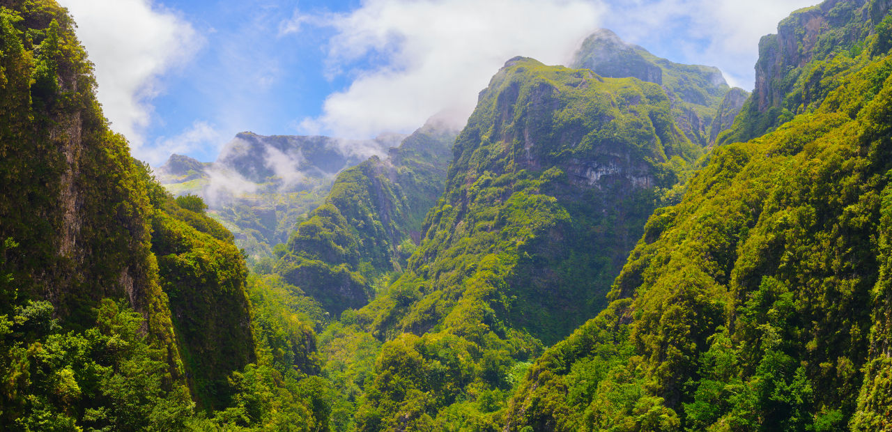 Vue sur le parc Queimadas, Madeira, Portugal